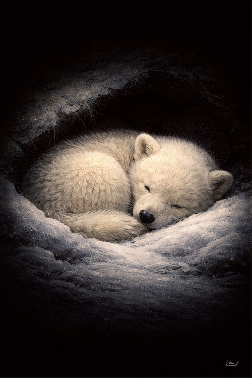 Example Wildlife Art 8