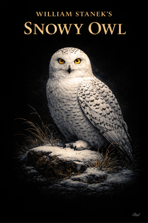 Example Wildlife Art 10