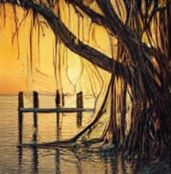 Mindful Communication: Deepening Connections the Stanek Way